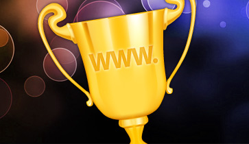 Website Manager to Website Champion